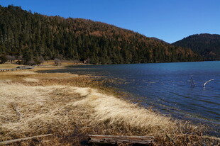 普达措森林公园