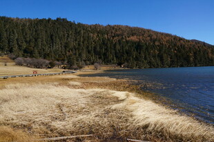 普达措森林公园