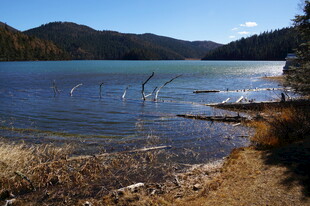 普达措森林公园