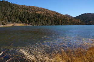 普达措森林公园