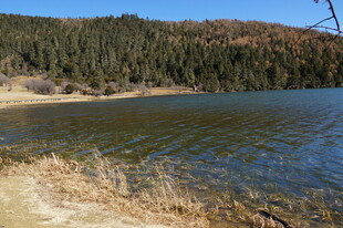 普达措森林公园