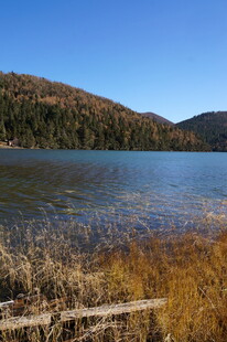 普达措森林公园