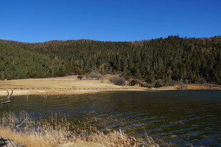 普达措森林公园