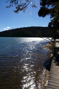 普达措森林公园