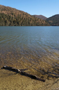 普达措森林公园