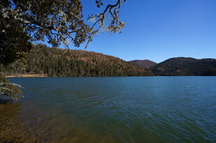 普达措森林公园