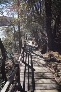 普达措森林公园