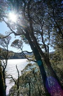 普达措森林公园