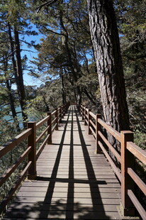 普达措森林公园