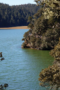 普达措森林公园