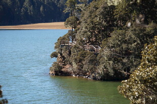 普达措森林公园