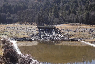 普达措森林公园