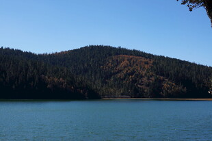 普达措森林公园