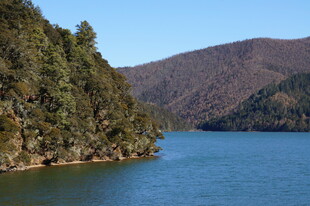 普达措森林公园