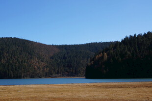 普达措森林公园