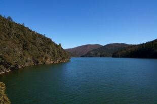 普达措森林公园