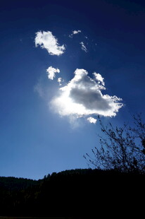 普达措森林公园