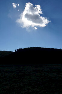 普达措森林公园