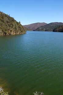 普达措森林公园