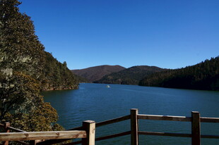 普达措森林公园