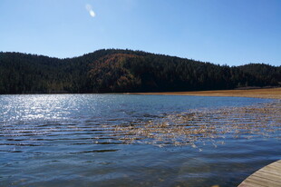 普达措森林公园