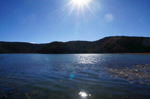 普达措森林公园