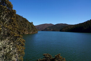 普达措森林公园