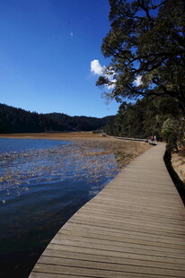 普达措森林公园