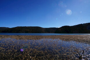 普达措森林公园