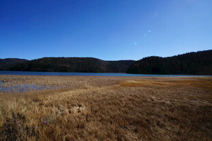 普达措森林公园