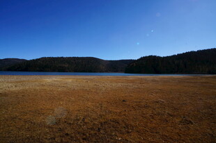 普达措森林公园