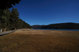 普达措森林公园