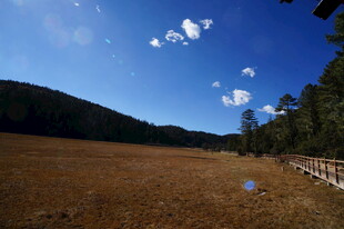 普达措森林公园