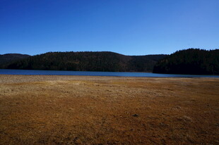 普达措森林公园