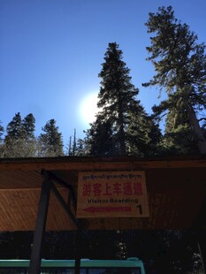 普达措森林公园