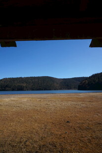 普达措森林公园