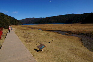 普达措森林公园