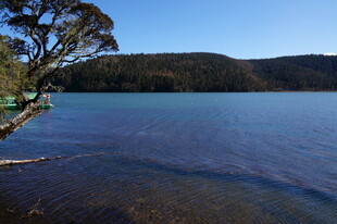普达措森林公园