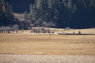 普达措森林公园