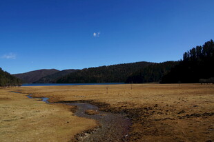 普达措森林公园