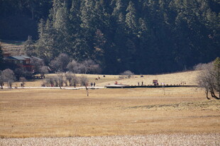 普达措森林公园