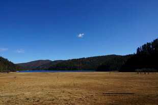 普达措森林公园