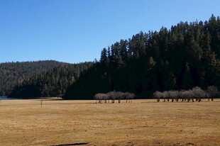普达措森林公园