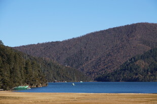 普达措森林公园