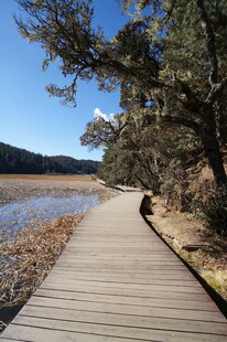 普达措森林公园