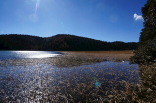 普达措森林公园