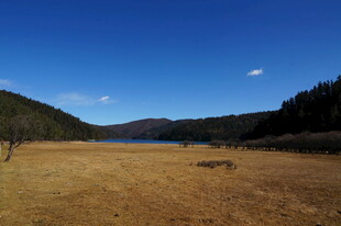 普达措森林公园