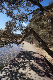 普达措森林公园