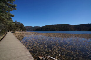 普达措森林公园