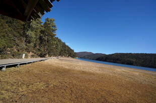 普达措森林公园